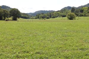 Lot 13 Enigma Rd