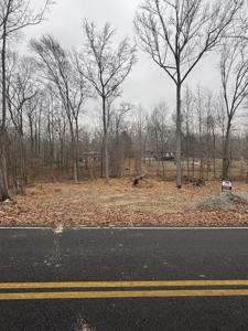 54 Shetland Cir