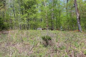 111 Woodland Trail