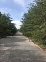 Lot 183 Meadow Ln