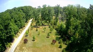 0 Shasteen Ridge Rd