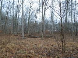 19 Lineport Rd