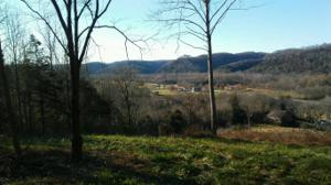 332 Old State Route 53