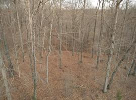 31 Norfolk Dr