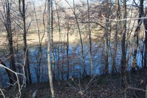 365 Collns River Drive