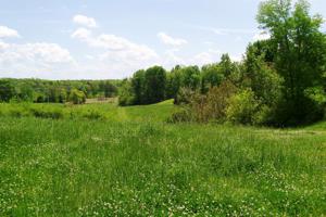1315 Webbs Camp Rd 