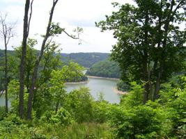 43 Deer Path Ct.
