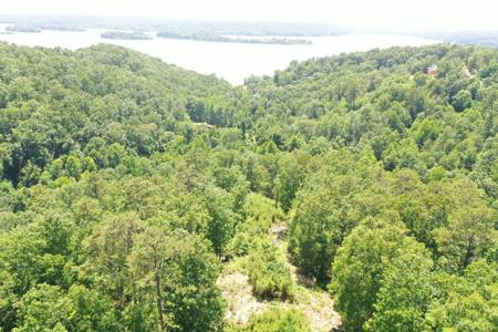 595 Old Skyline Drive