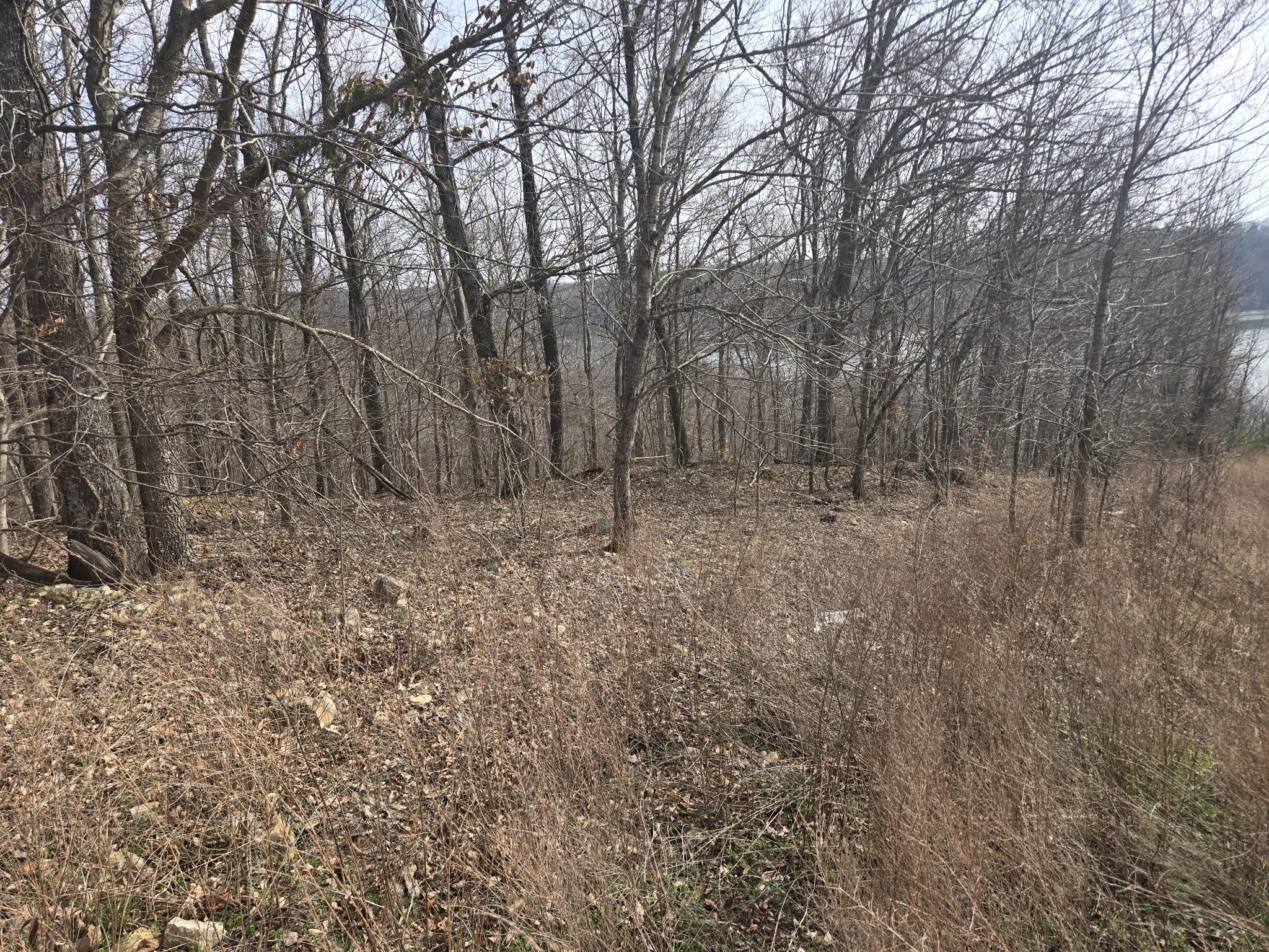 Image 4 Image 4