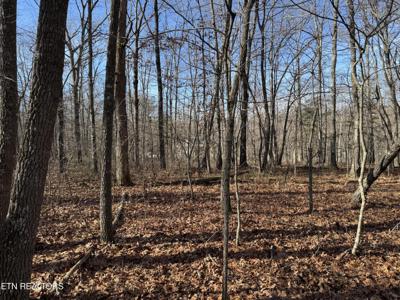 0 Sycamore Bend