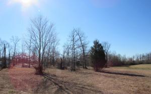0 Monroe Floyd Rd