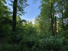 0 Alpine Dr