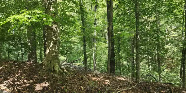 Image 4 Image 4