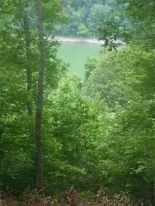 14 Bridge Pointe Rd