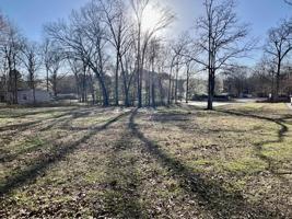 380 Buchanan Resort Rd