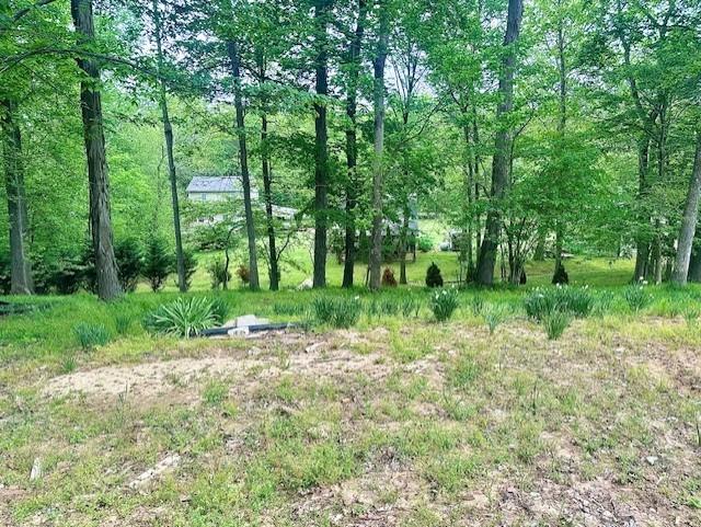 Image 1 Image 1