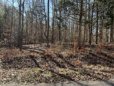 0 Green Meadow Dr