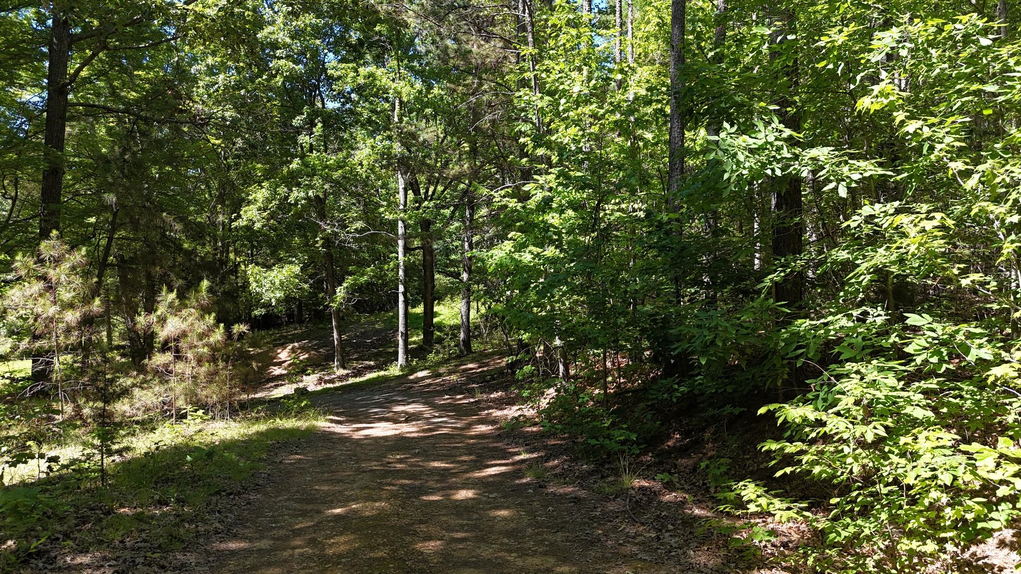 Image 4 Image 4