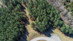 31 Cedar Ridge LN
