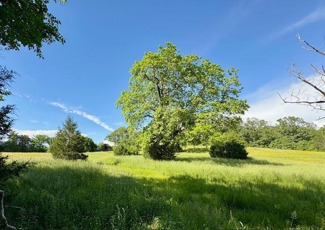 Image 1 Image 1