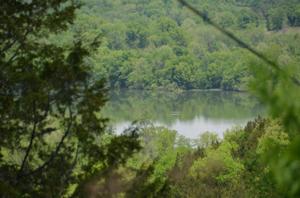 0 Hopkins Hollow Rd