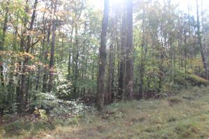 0 Saline Trail N