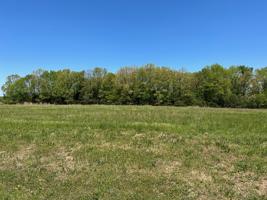 1337 Ovoca Lake Rd