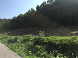 0 Neelys creek