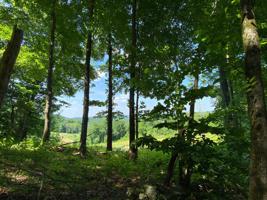 0 Grisham Hollow Ln
