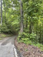 95 Lakeview Dr