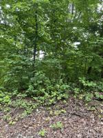 91 Lakeview Dr