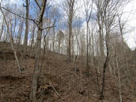 0 2.00AC OLD LIVINGSTON HWY