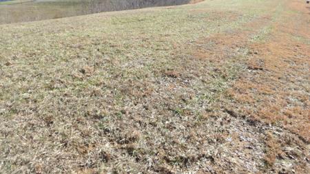 0 Quail Run