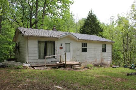 504 Wildlife Rd
