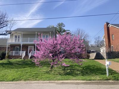 3920 Hillshire Dr