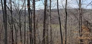 16 Bridge Pointe RD