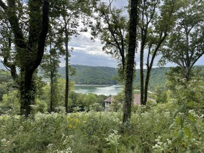 19 Highbridge Dr