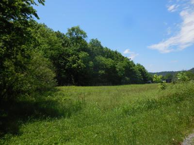 1222 Hopkins Hollow