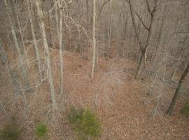 1 Coves Pointe Rd