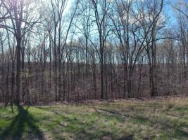 0 Lakehaven Drive