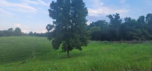 0 Clemons Ridge Rd