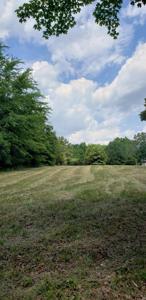 1 Mt View Rd