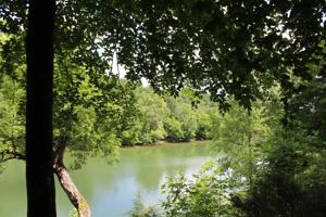 0 Collins Riv Dr