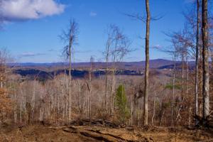 1 Bald Knob Road