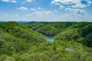 660 Jimmy Reneau Rd