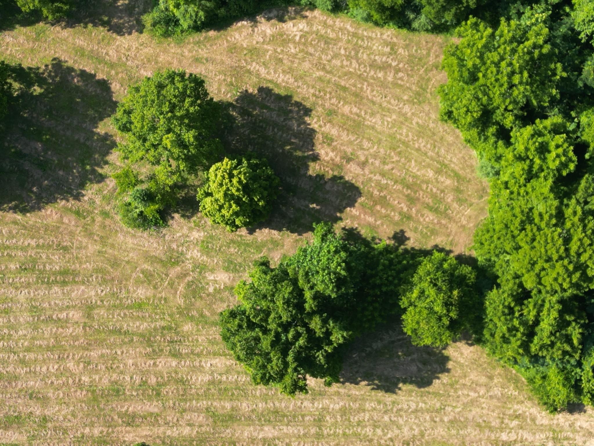 Image 4 Image 4
