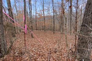 0 Off Of Red Hill Lane