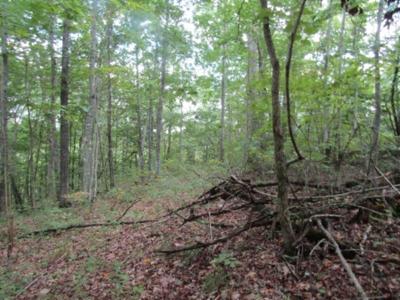 0 5017ac Backwoods Trail