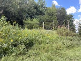 40 Grisham Hollow Ln