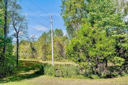 2058 Bolestown Loop Lot 5